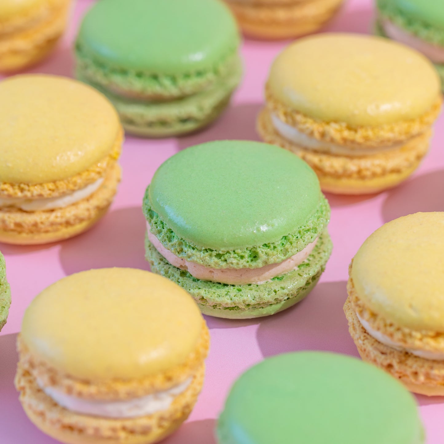 Mixed Limited Edition Flavours | Pre-Order