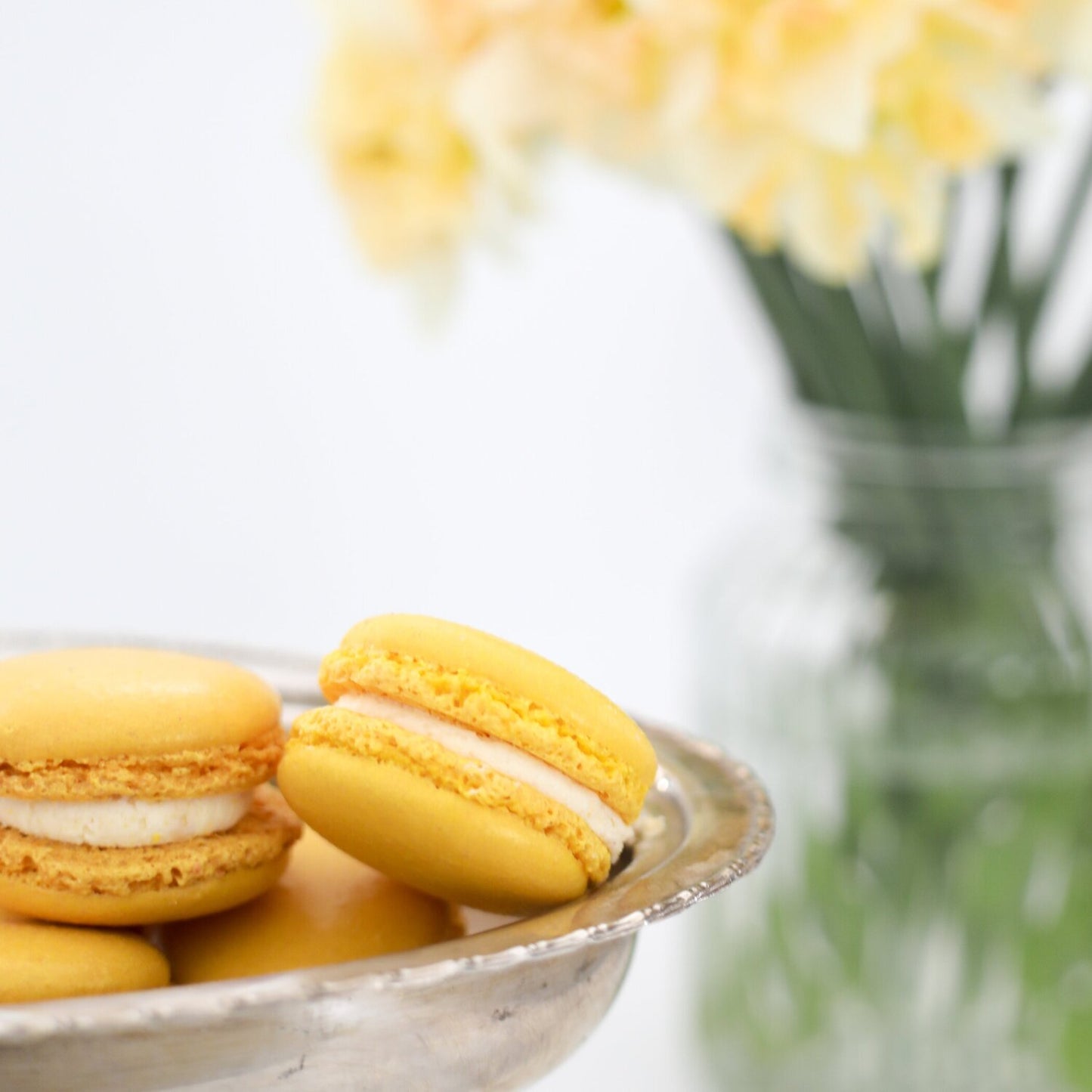 Lemon Macarons ready for delivery in Christchurch New Zealand